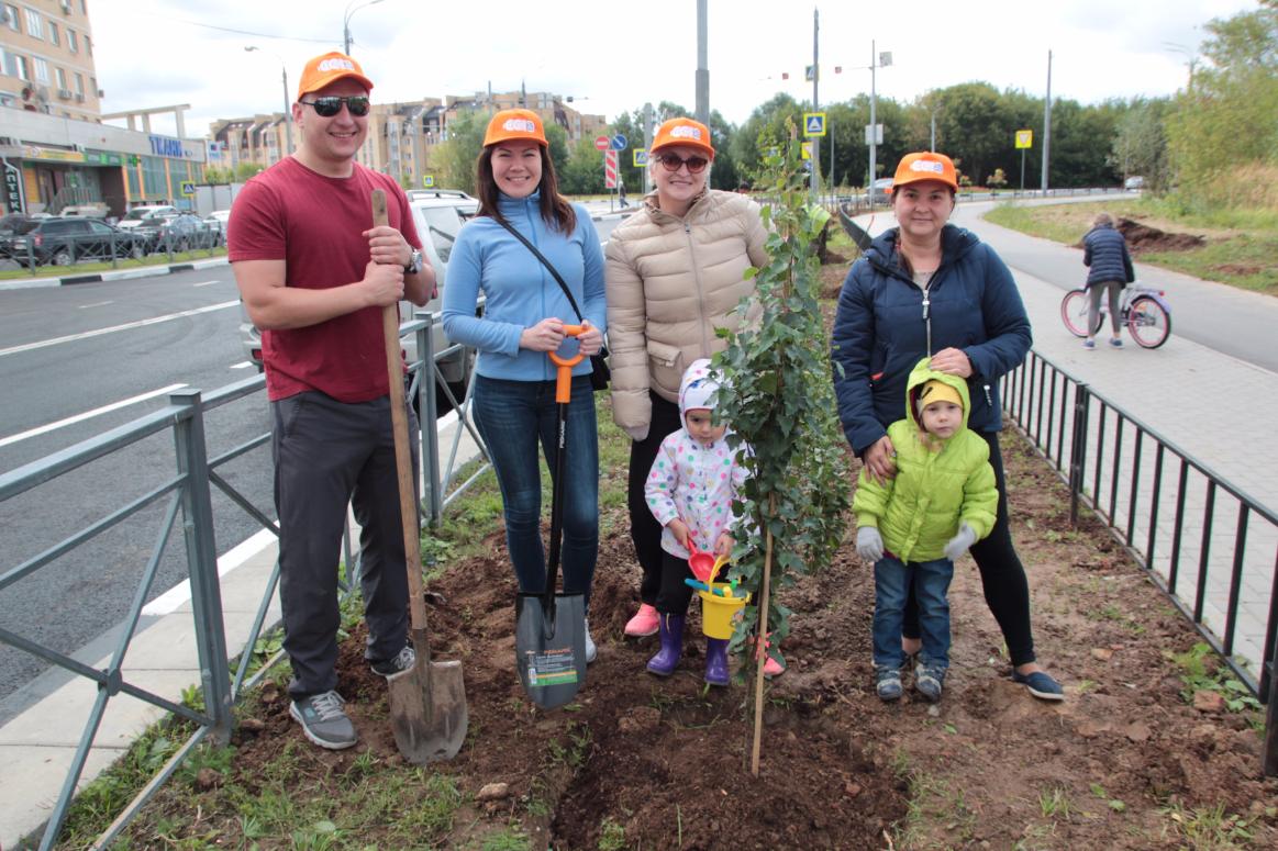 ГК «ССТ» присоединилась к акции «Посади свое дерево»